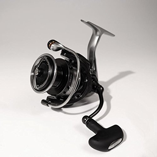 Daiwa 18 Caldia LT 6000D