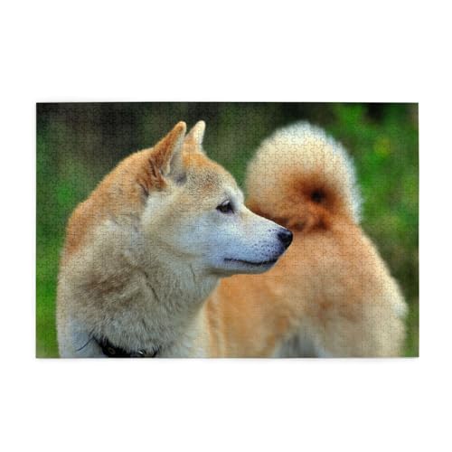 Akita Inu Bokeh Haustiere Hunde Akita Inu, Puzzles 1000 Teile Holzpuzzle Spielzeug Familienspiel Wanddekoration