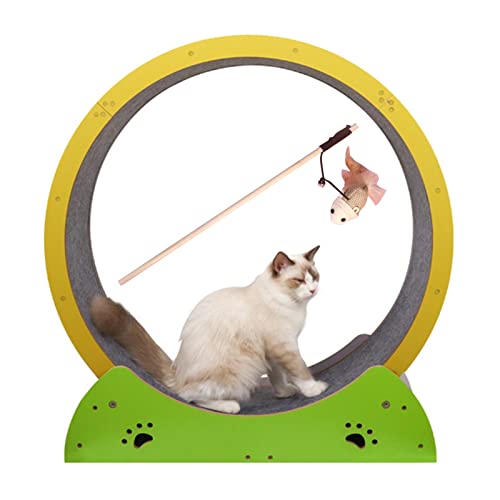 Katzenlaufband Buntes Laufband Ferris, Mute Cats Scratch Board Grab Crawling Shelf Wheel Rotation, Running Spinner Wheel Play Toy