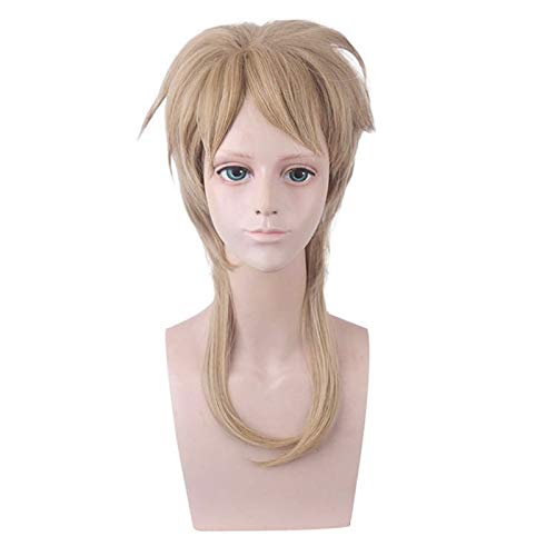 LINLINCD-Anime Coer Wig. Anime.JoJo. Bizarres Abenteuer DIO Brando Perücke Cosplay Kostüm Hitzebeständige Synthetische Haarparty Rollenspiele Spiele