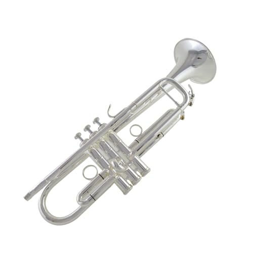 Standard Trompete Versilbertes Trompeteninstrument in B mit einem Mundstück und einem Schallstück