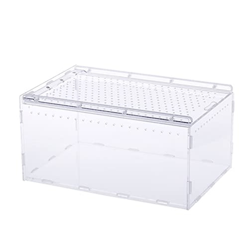 Transparente Acryl-Tanks für Eidechsen, Einsiedlerkrebse, Geckos, Frösche, Gehege, Brutkasten, Terrarienkäfig