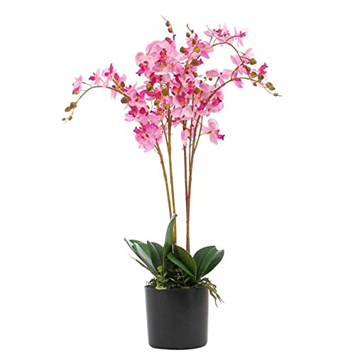 Leaf Design UK Realistische künstliche Orchidee im Topf