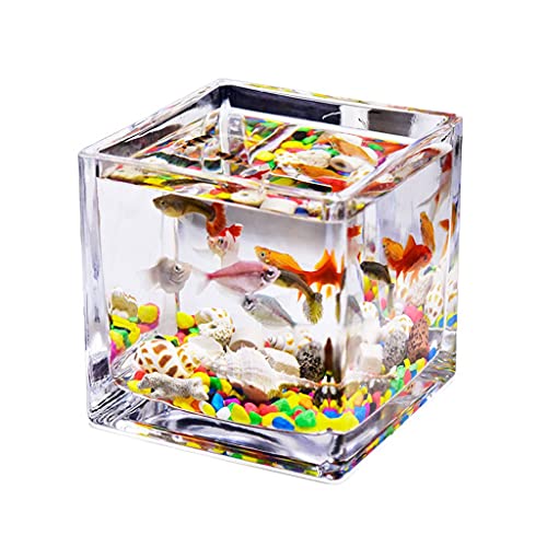 Kleiner Tank Aquarium, tragbare Fischschale Tank, Quadratisches transparentes Glas Mini-Aquarium for den Haushalt im Büro Wassergrastank Betta-Fische Zierfische Kleines Aquarium(5.91IN)