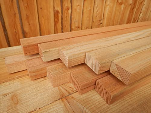 ZAUNLATTE LÄRCHE HOLZ LATTEN LATTENZAUN HOLZZAUN 25x50 mm 2,5x5 150cm (20)