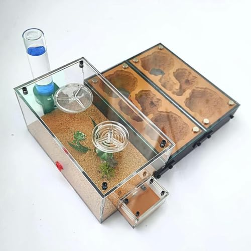 DIY Acryl Ameisenfarm Gips Formicarium Ameisennest Ameisen Haus Villa Insekt Haustier Ameisen Zucht Box Ameisenhaufen Werkstatt Ant Nest Ant Farm (Color : C)-1