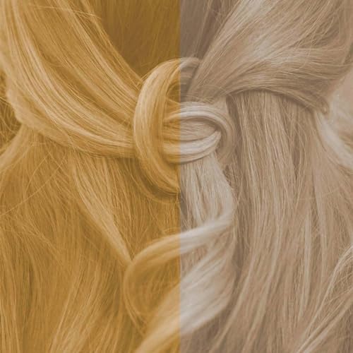 Profi-Pflanzenhaarfarbe kühles Summer-Blond "cool summer blond in 2-Steps" 2x 90g Nachfüllpacks