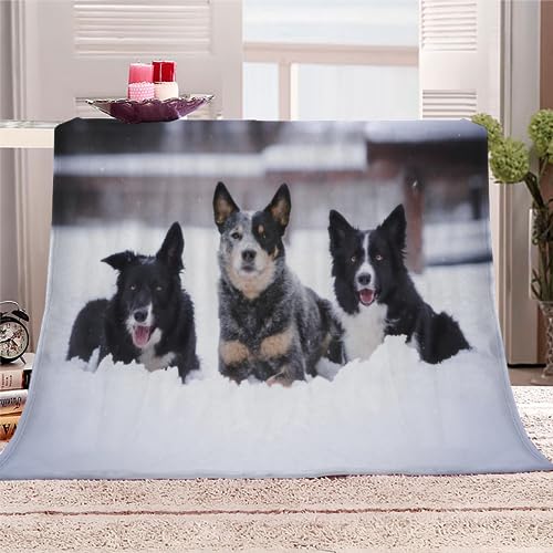 Kuscheldecke Erwachsene 3D Border Collie Flanelldecke Sherpa Fleecedecke Motiv Decke 150x200 cm Mädchen Jungen Tier, Hund Weiche Microfaser Warmer Wohndecke Bettüberwurf Sofatdecke