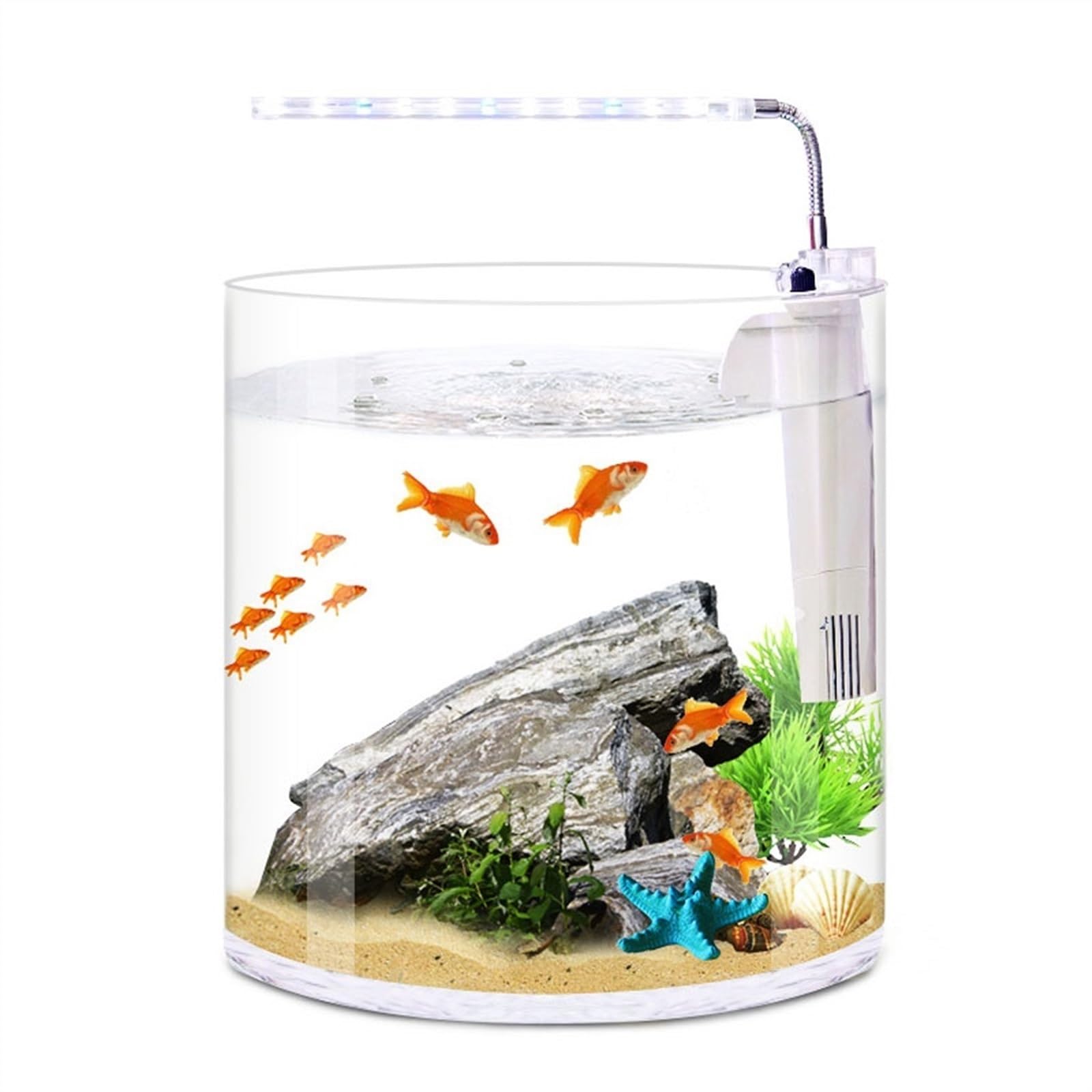 Kleiner Tank Aquarium, tragbare Fischschale Tank, Ökologisches Aquascape Gerades Desktop-Aquarium Kleines süßes transparentes Glas rundes Aquarium for Zuhause, Wohnzimmer, Büro, Filter, LED-Licht, Fis