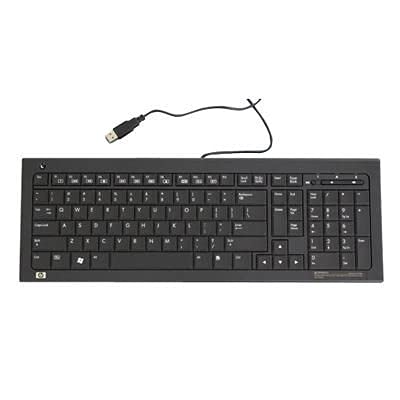 HP Inc. HP Low Cost USB KB JB Iceland, 539130-DD1