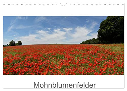 Mohnblumenfelder (Wandkalender 2025 DIN A3 quer), CALVENDO Monatskalender