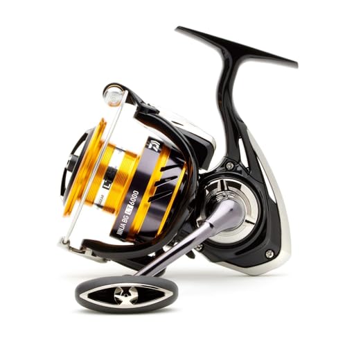 Daiwa 19 Ninja LT Spinnrolle, Schwarz/Gold, alle Modelle, 3000-C