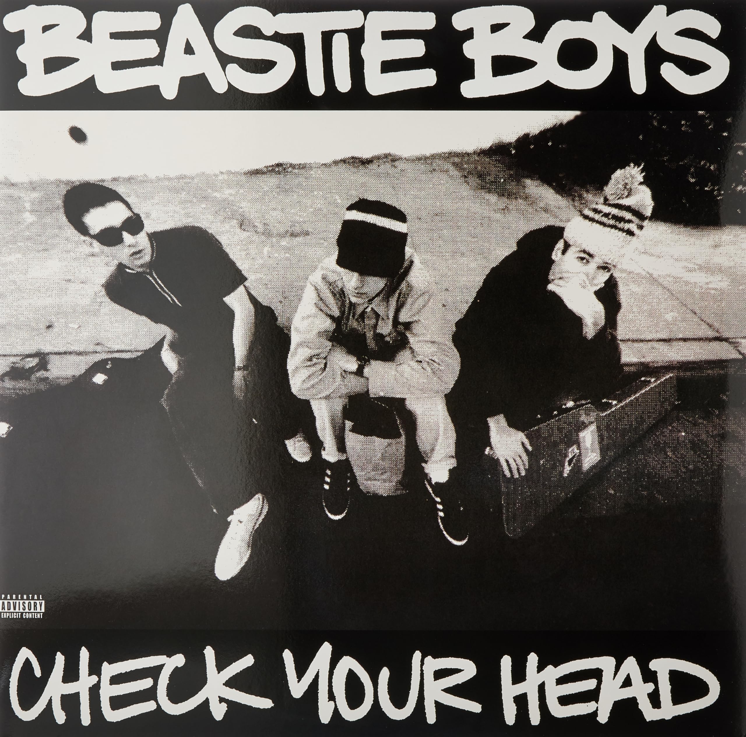 Check Your Head [Vinyl LP]