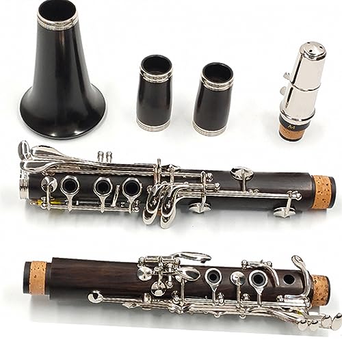 klarinetten Professioneller Anfänger, Der Ein Schülermusikinstrument Mit Klarinette Bb Und 17 Tasten Spielt