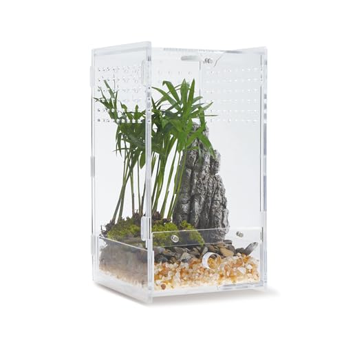 WBHONGHUI Transparentes Terrarium für Reptilien, Acryl, mit Riegel, perfekt für Amphibien und Wirbellose wie Spinnen, Frösche usw., Größe x x Zoll, horizontal oder vertikal
