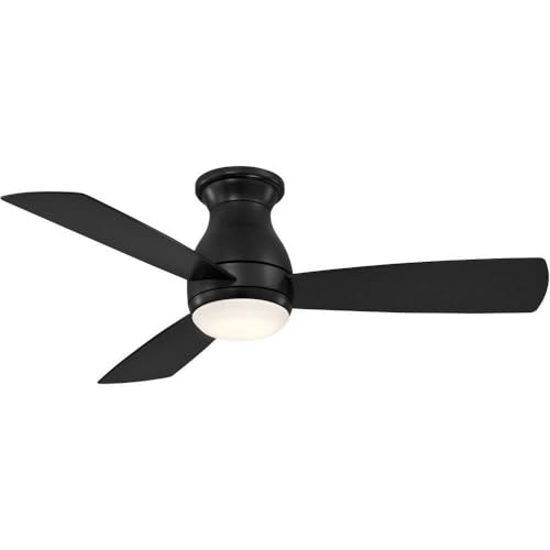 RIIMUHIR Fanimation Hugh 44 Ventilador de techo, 44 Inch, Negro