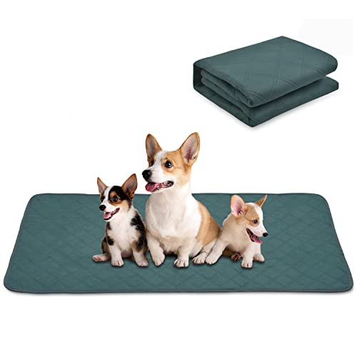 Waschbare Pee Pads für Hunde und Katzen, Haustier-Welpen-Trainingspads, wasserdicht, wiederverwendbar, saugfähig, groß, mittel, klein, rutschfest, moderne Wurfunterlage