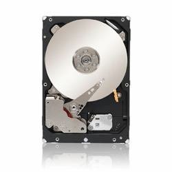 Seagate ST2000NM0023 Constellation ES. 3 2000 GB interne