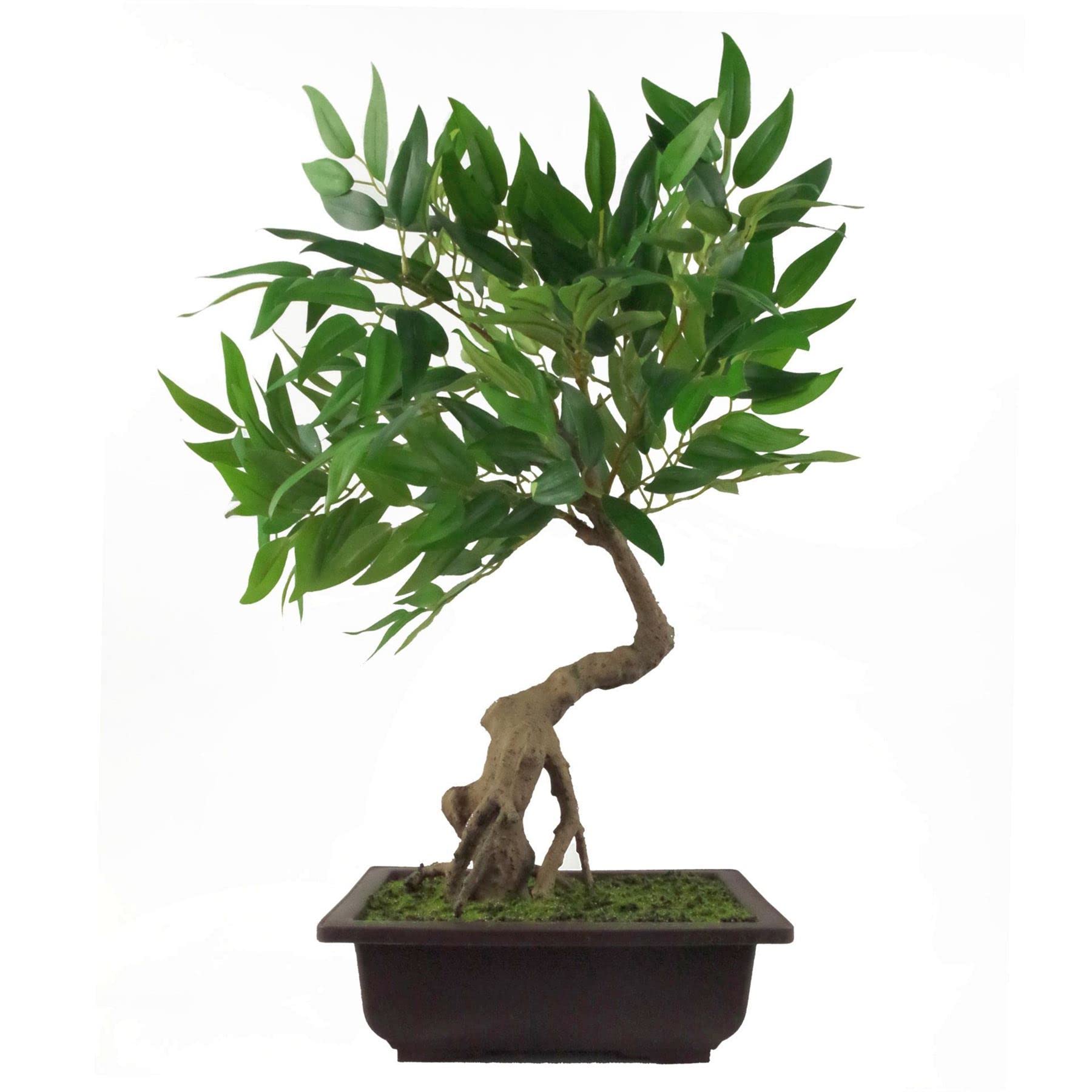 Leaf Künstlicher Baum, gemischte Materialien, Bonsai-Ruscus, 50 cm