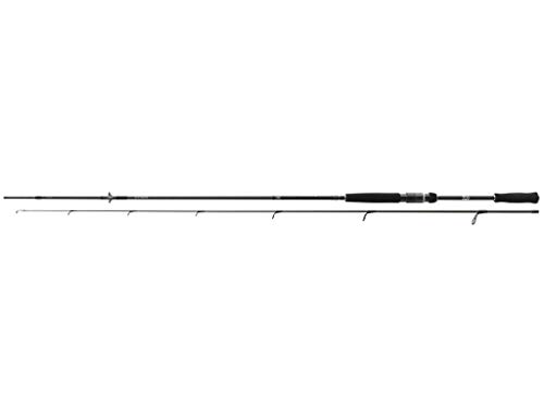 Daiwa Prorex AGS 2.70m 10-30g