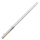 Daiwa Wilderness Sea Trout 3,05m 15-45g Meerforellen Spinnrute