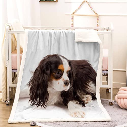 Kuscheldecke 130x150 King-Charles-Spaniel 3D Haustier Hund Warm Fleece-Decke Weich Flauschige Sherpa Wohndecke Microfaser Sofadecke Couchdecke Zweiseitige Decke Dekor Schlafzimmer Kollektion Winter