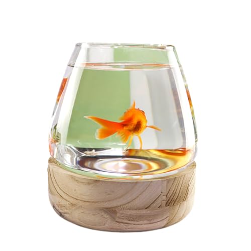 Kleiner Tank Aquarium, tragbare Fischschale Tank, Glasfischbehälter mit Holzsockel, Glas mit hoher Lichtdurchlässigkeit for klare Sicht, kleines Aquarium for Kampffische, Goldfische, Garnelen(17x19.5c