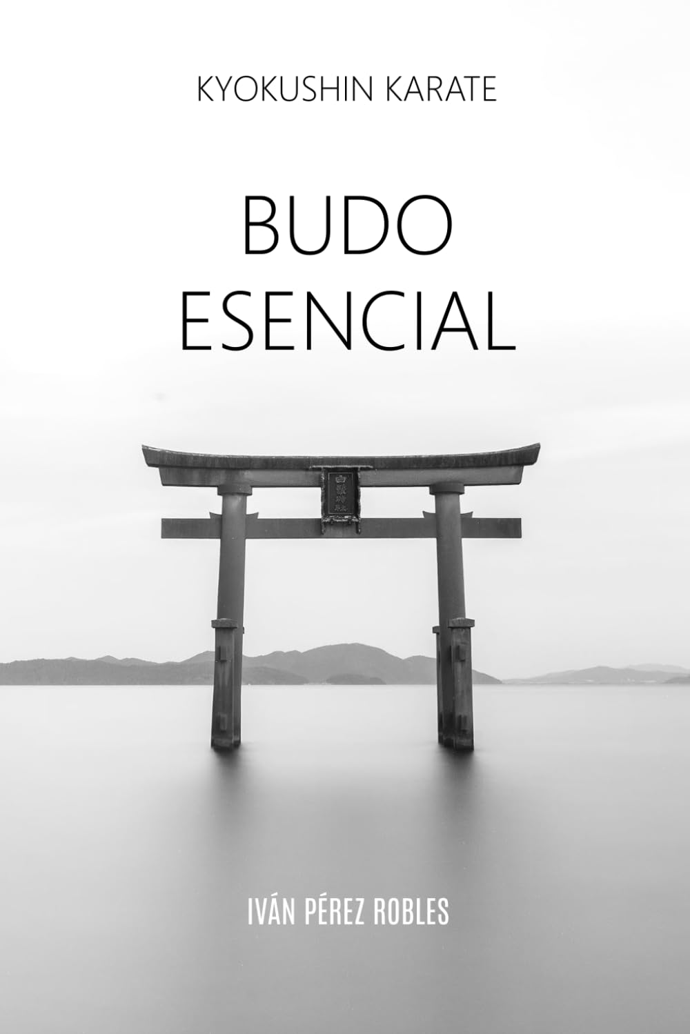 Kyokushin Karate: Budo Esencial: (NOIR EDITION)