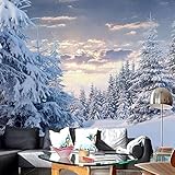 XLMING Verschneite Berglandschaft Weiße Landschaft 3D Tapeten Home Esszimmer Sofa Schlafzimmer Wohnzimmer TV Hintergrund-250cm×170cm