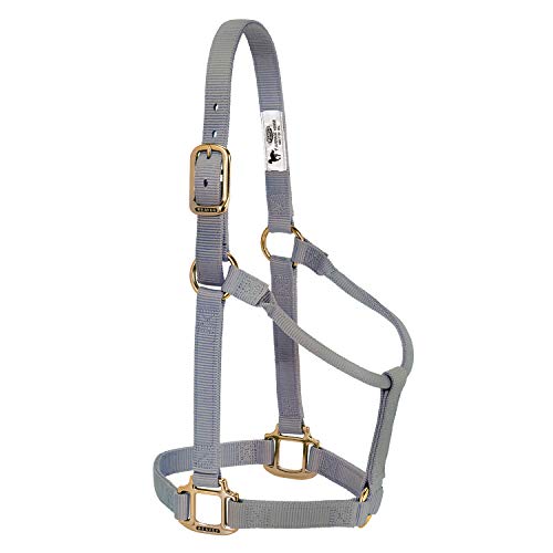 Weaver Leather Original Non-Adjustable Halter, 1" Average Horse, Graphite