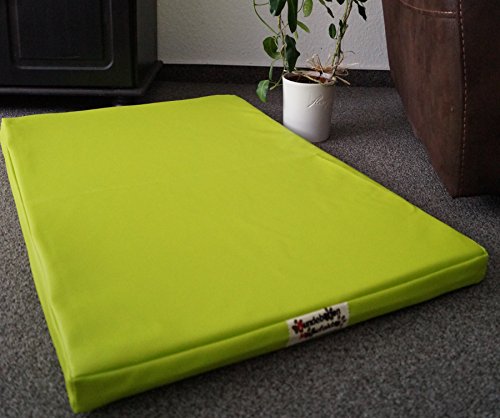 Hundebettenmanufaktur Hundematratze Hundebett Kunstleder Schaumstoff 5 cm Verschiedene Größen und Farben wählbar (105 cm X 65 cm, Limone)