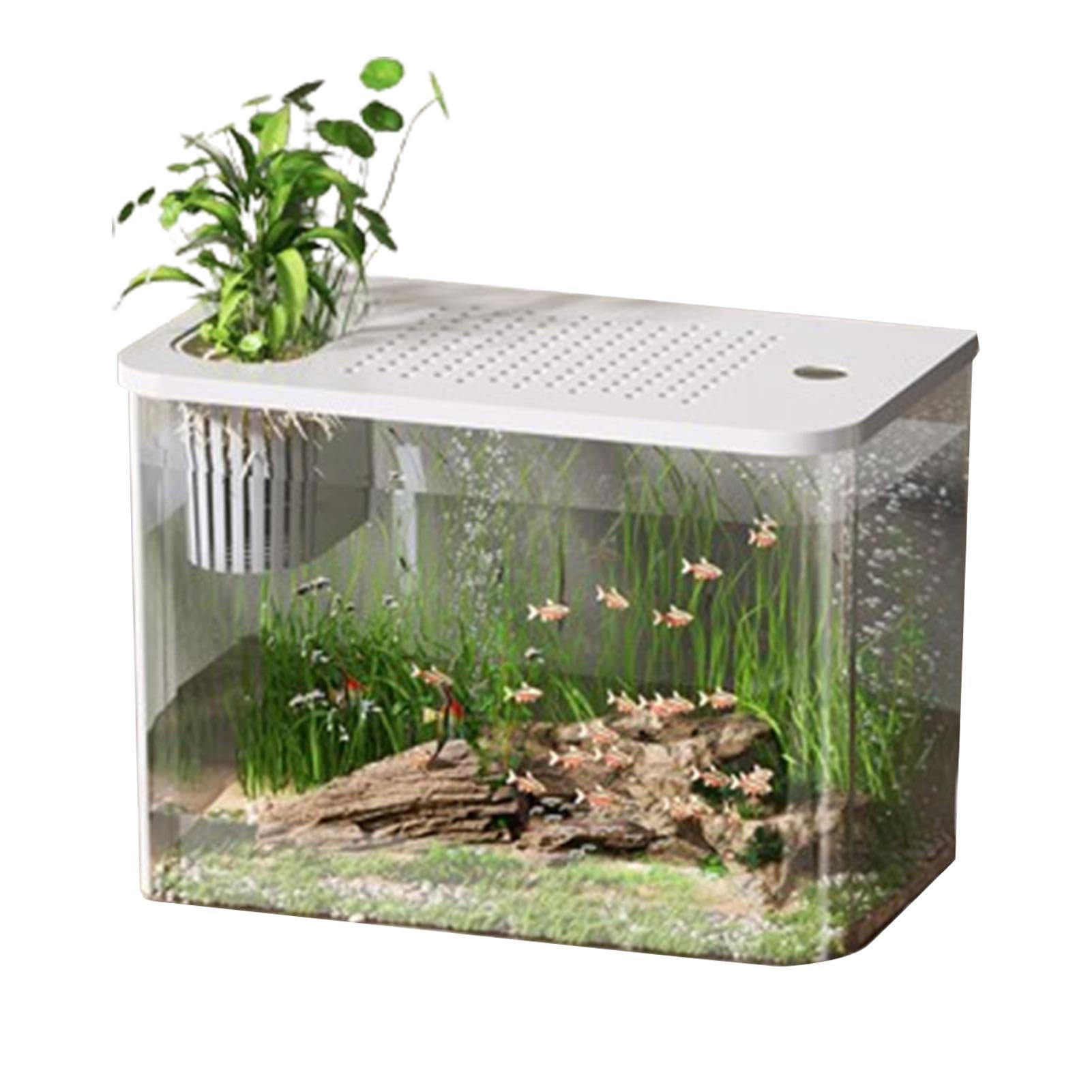 Mini-Betta-Aquarium, Tisch-Aquarium, Schildkrötenbecken Aquarium Goldfischbecken Fischschalen, Kleine Aquarien, dekorativer kompakter Tank für die Schildkrötenzucht, kleine Fische