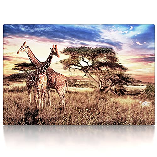 Afrika Giraffen - Leinwand Bild - aufhängefertig Wandbild XXL Canvas Leinwandbild Kunst Kunstdruck Druck Bilder Deko Wanddekoration Wand Modern Art Wohnzimmer (100 x 70 cm, Leinwand auf Keilrahmen)