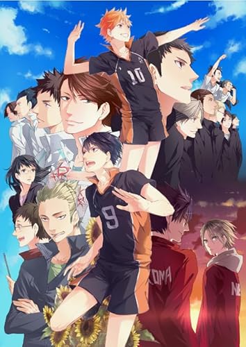 HfmQuisutron 1000 Piece Wooden Puzzle Japanese Anime Volleyball Boys Poster for Adults Educational Toys Gift De142Pz