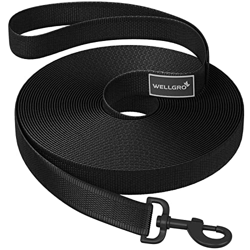 WELLGRO Schleppleine für Hunde mit Handschlaufe 3m / 5m / 10m / 15m / 20m / 25m / 30m Hundeleine robust Nylon Metallkarabiner Trainingsleine, Größen:25 Meter