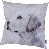 Siena Home Dekokissen ORA, Dessin Labrador Velvet 100% Polyester, Dessin 302-Labrador