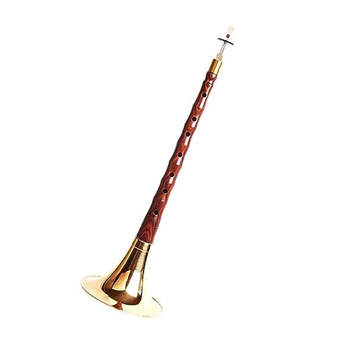 Suona-Musikinstrument Aus Rotem Sandelholz, Anfänger, Profi, Professionelles Suona-D-Tune-Horn Suona für Anfänger (Color : 02)