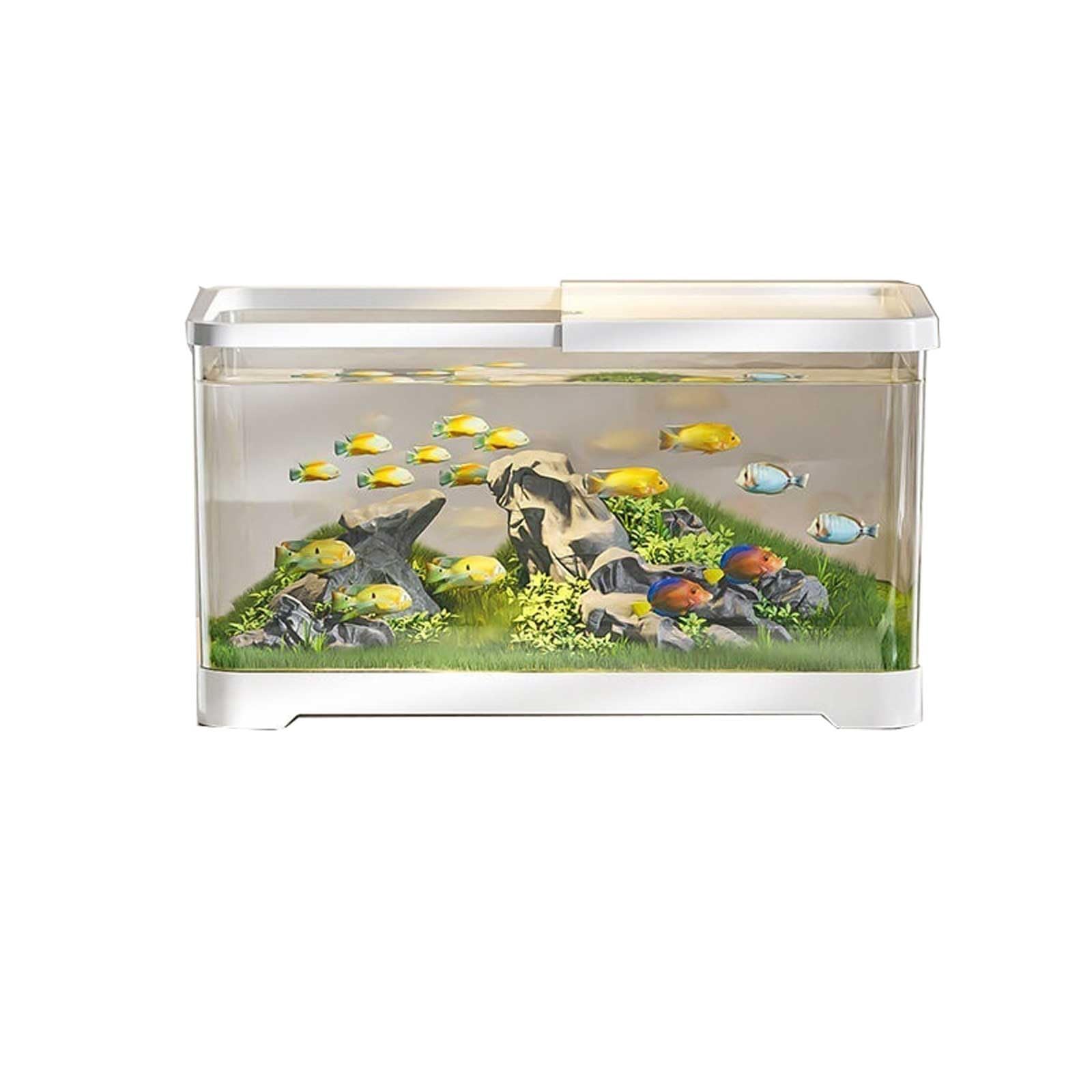 Aquarium, Desktop Transparent Acryl mit Deckel und Basis Kleine Wohnzimmer Haushalt Fischzucht Tank Fisch Schüssel(White,L)