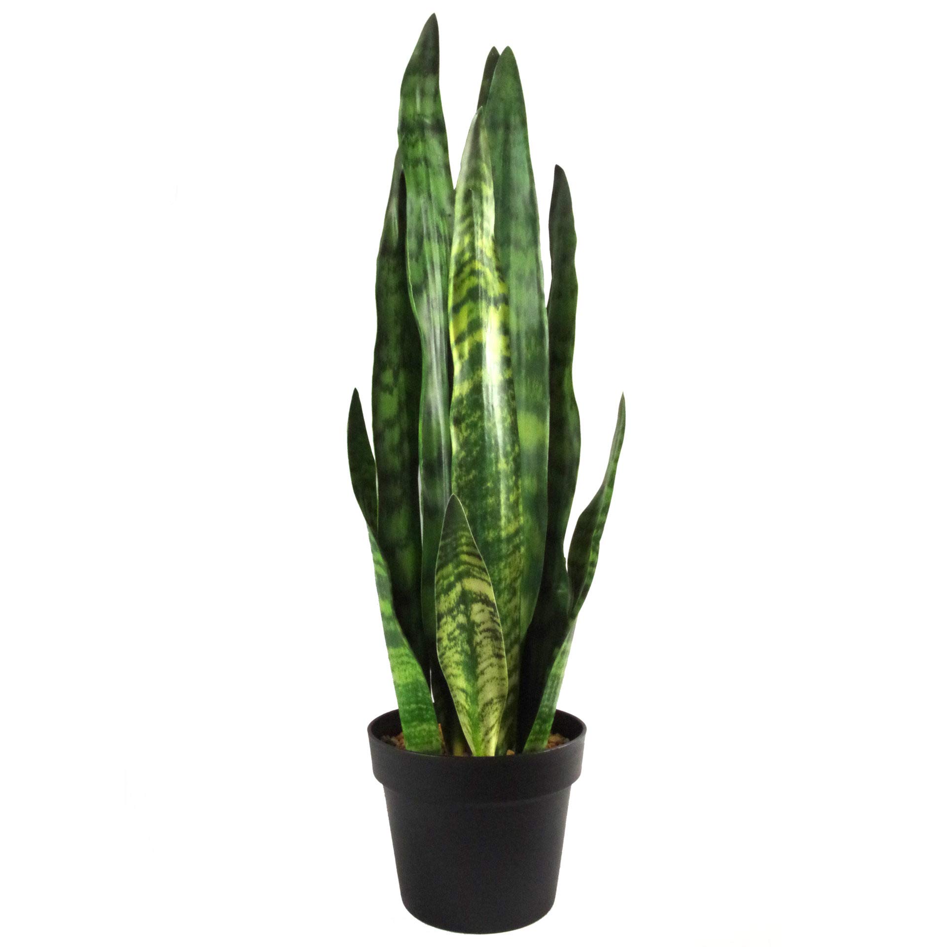 Leaf Kunstpflanze, Blätter, 70 cm, Kunststoff, Zeylanica Sansevieria