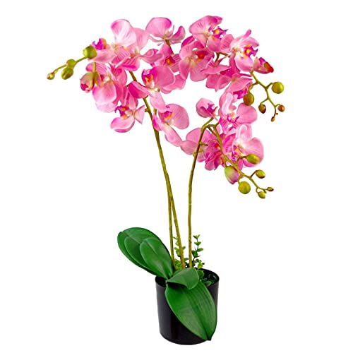 Leaf Design UK Realistische künstliche Orchidee im Topf