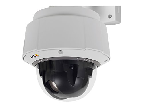 AXIS Netzwerkkamera Dome Q6055