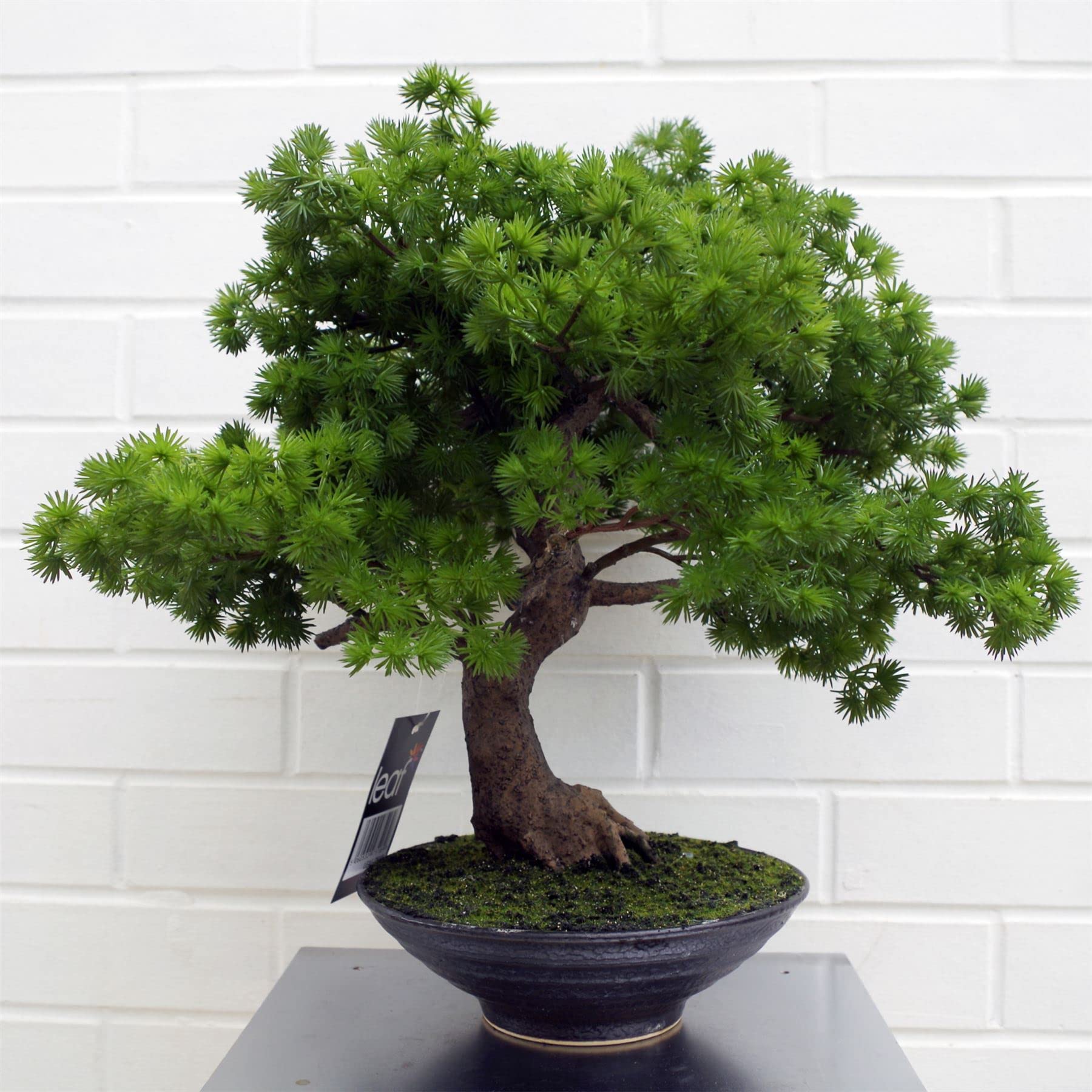 Leaf Künstlicher Baum, Kunststoff, Kiefern-Bonsai, 50 cm