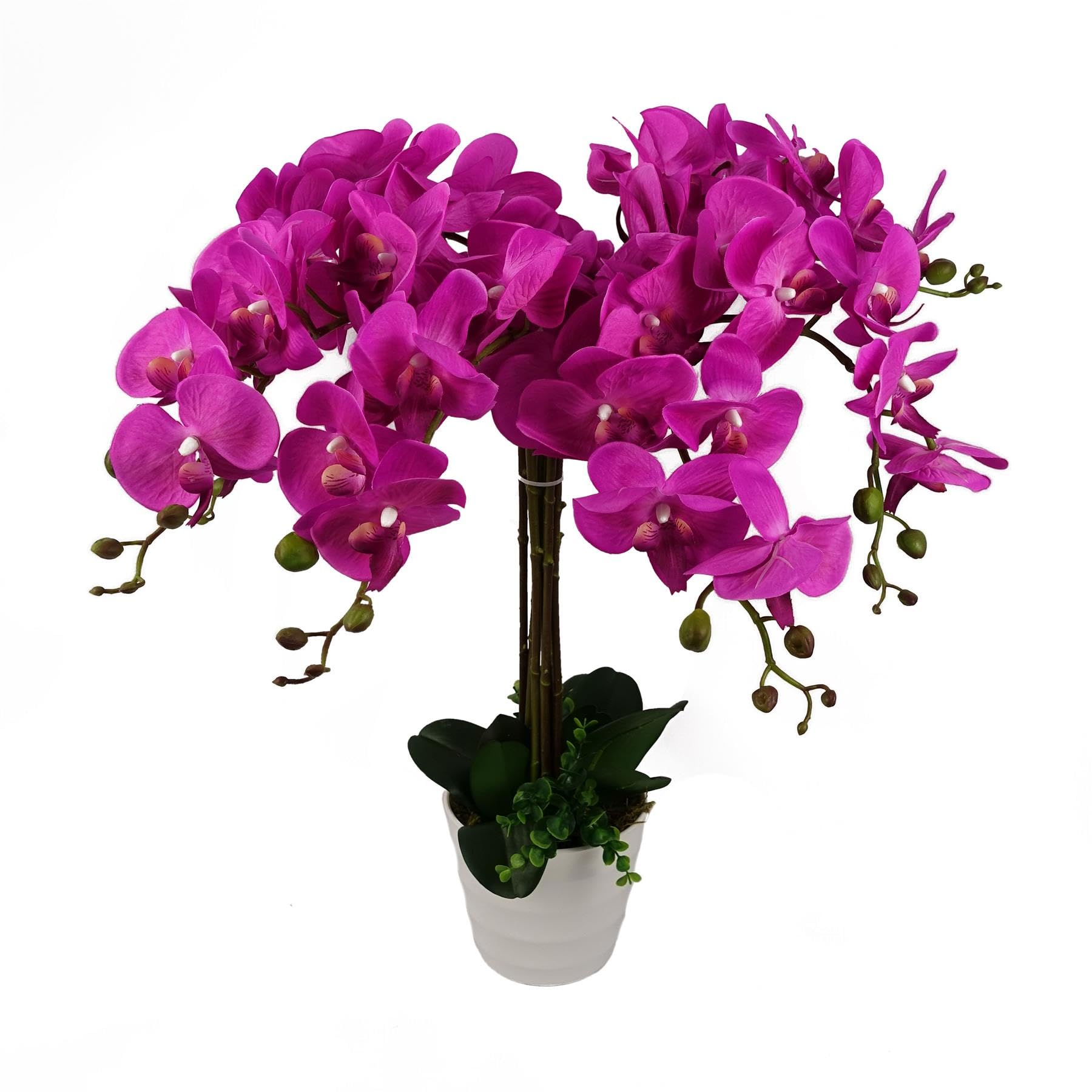 Leaf Design UK Realistische künstliche Orchidee im Topf, Dunkelrosa, 85 cm