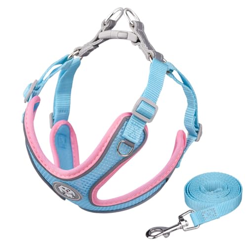 AYEXO Reflektierendes Nylon-Tragehalsband, atmungsaktiv, verstellbarer Brustgurt, reflektierend, für Katzen und Hunde, verstellbare Haustier-Tragetasche, atmungsaktive Haustierweste (Blau, Größe L)