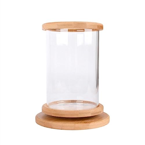 Aquarium Aquarium-Tank, Klarglas-Aquarium mit Holzsockel, drehbarer dekorativer Tank for Aquarien, Kleiner ökologischer Aquarium-Tank Aquarium-Kit