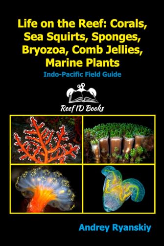 Life on the Reef: Corals, Sea Squirts, Sponges, Bryozoa, Comb Jellies, Marine Plants: Indo-Pacific Field Guide (Coral Reef Academy: Indo-Pacific Photo Guides, Band 4)