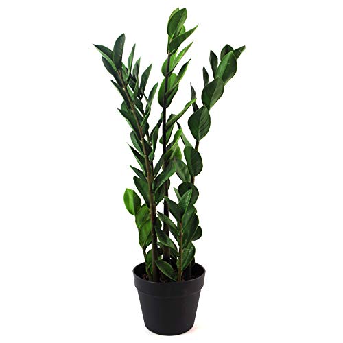 Leaf Large Foliage Plant Design UK Kunstpflanze mit Topf, realistisch, Plastik, Zanzibar Gem, 75 cm