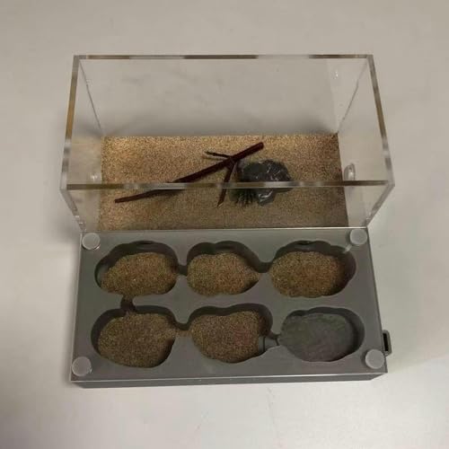 Acryl AntHouse Ameisennest Insekt Villa Natürliche Ameisenfarm Aus Sand Formicarium Display Box Set (Color : C)-1