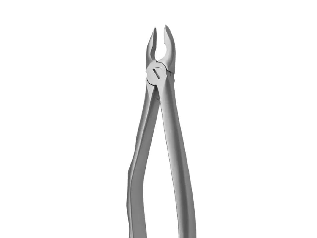 FORCEPS N2 INCISIVOS Y CANINOS COVETRUS