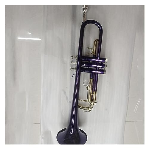 Trompeteninstrument Für Schüler Bb Flat Purple Trompete Gold Key Brass Trompete Mit Mundstückhandschuhen Blechblasinstrumente Anfänger